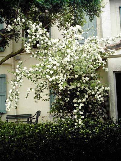 EHPAD MAISON DE RETRAITE DES OLIVIERS 11000 Carcassonne