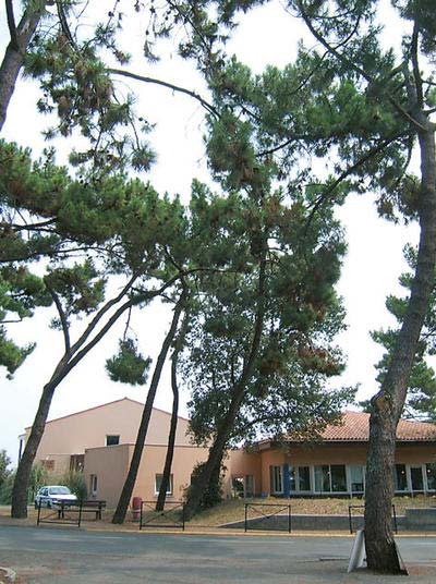 EHPAD - RESIDENCE L'OCEANE D'OLERON 17370 Le Grand-Village-Plage