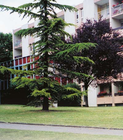 RESIDENCE AUTONOMIE CHARMINELLE 38340 Voreppe