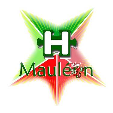 HOPITAL LOCAL DE MAULEON 64130 Mauléon-Licharre