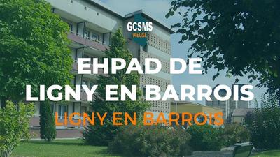 EHPAD DE LIGNY EN BARROIS 55500 Ligny-en-Barrois