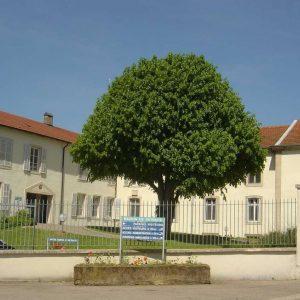 EHPAD LA COMPASSION 54930 Saint-Firmin